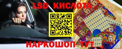 гидропоника Бердск