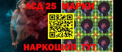 гидропоника Бердск