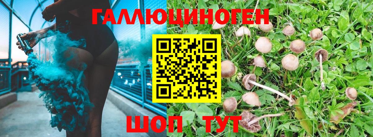 Выборг  Галлюциногенные грибы Magic Shrooms  Вход с VPN 